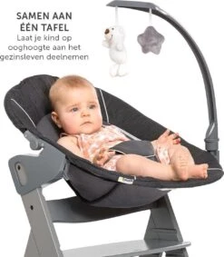 Hauck Alpha Plus Kinderstoel - Newborn Set Deluxe - Grijs 16 Hauck Alpha Plus Kinderstoel - Newborn Set Deluxe - Grijs -Babyproducten Promotie Winkel 1049x1200 6