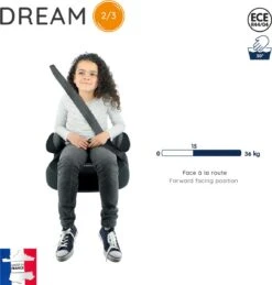 Nania - Zitverhoger Dream Luxe - Groep 2/3 (van 15 Tot 36 Kg) - 3 Tot 12 Jaar - Grijs -Babyproducten Promotie Winkel 1146x1200 10