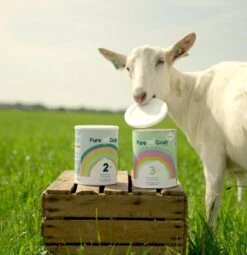 Pure Goat Company - Opvolgmelk 3 - Biologische Flesvoeding Op Basis Van Volle Geitenmelk - 800 Gram 4 Pure Goat Company - Opvolgmelk 3 - Biologische Flesvoeding Op Basis Van Volle Geitenmelk - 800 Gram -Babyproducten Promotie Winkel 1161x1200 5