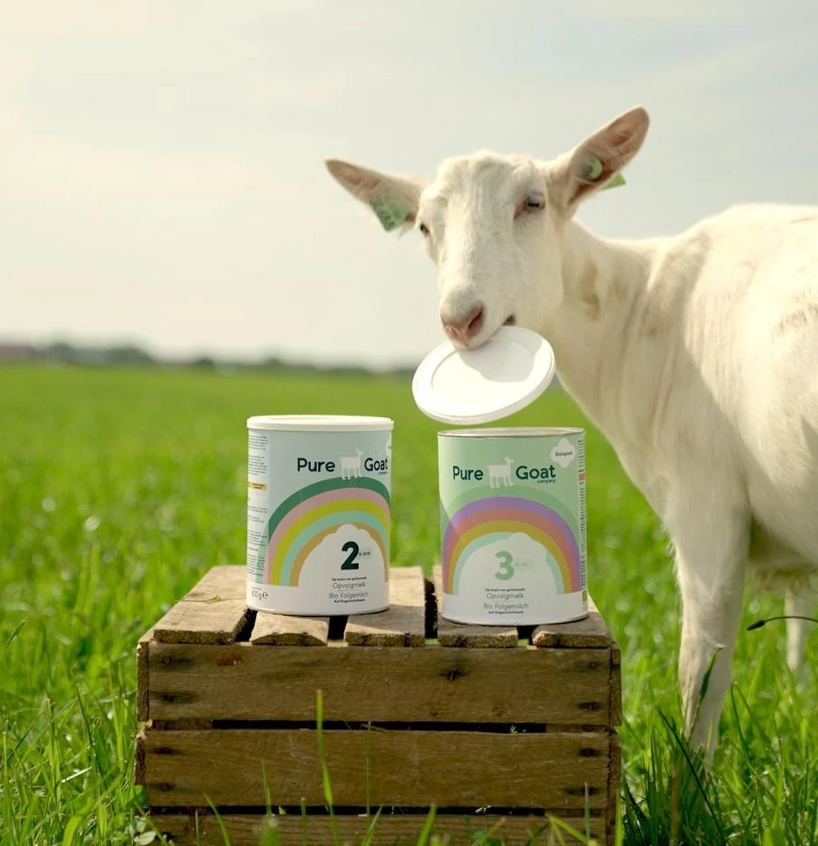 Pure Goat Company - Opvolgmelk 3 - Biologische flesvoeding op basis van volle geitenmelk - 800 gram Pure Goat Company - Opvolgmelk 3 - Biologische Flesvoeding Op Basis Van Volle Geitenmelk - 800 Gram -Babyproducten Promotie Winkel 1161x1200 5