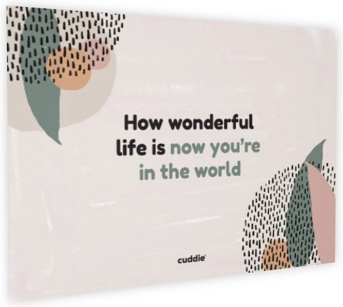 Cuddie Baby Draagdoek - Premium Organic Baby Draagdoek gemaakt van Bio Katoen - Newborns tot 15 kg - Baby Cadeau - Met Wenskaart - Olive Cuddie Baby Draagdoek - Premium Organic Baby Draagdoek Gemaakt Van Bio Katoen - Newborns Tot 15 Kg - Baby Cadeau - Met Wenskaart - Olive -Babyproducten Promotie Winkel 1200x1075 6