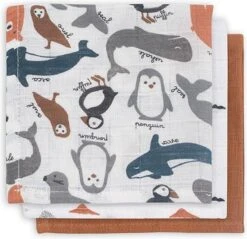 Jollein Baby Hydrofiel Washandje Polar - 3 Stuks -Babyproducten Promotie Winkel 1200x1161 4