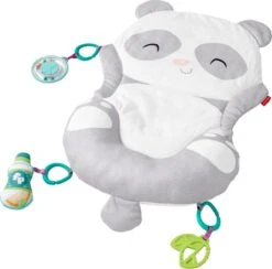 Fisher Price Allesinéén Pandaspeelmat 2 Fisher Price Allesinéén Pandaspeelmat -Babyproducten Promotie Winkel 1200x1184 8