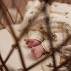 Jollein Deken Hydrofiel Wieg 75x100cm Rosehip -Babyproducten Promotie Winkel 1200x1200 1117