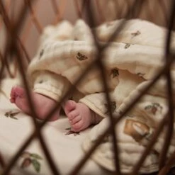 Jollein Deken Hydrofiel Wieg 75x100cm Rosehip -Babyproducten Promotie Winkel 1200x1200 1119