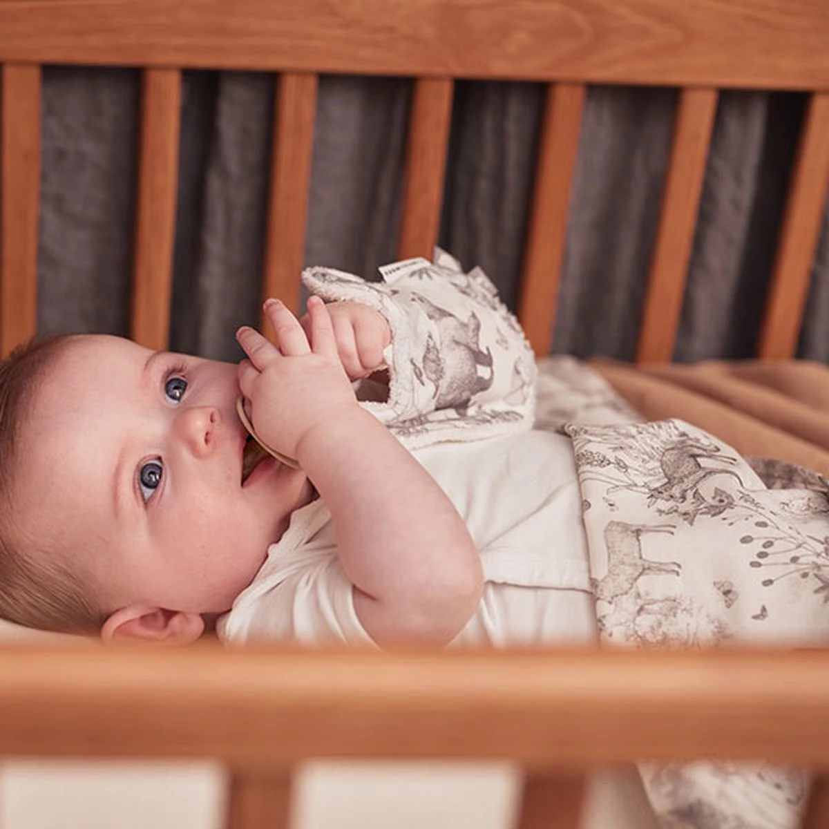 Jollein Baby Dekbedovertrek met sloop 100x135/140cm Pimpelmees - Forest Animals Jollein Baby Dekbedovertrek Met Sloop 100x135/140cm Pimpelmees - Forest Animals -Babyproducten Promotie Winkel 1200x1200 1280