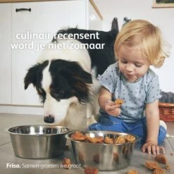 Friso 3 - Opvolgmelk - Vanaf 10 Maanden - 800g - Blik -Babyproducten Promotie Winkel 1200x1200 1768