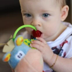 Playgro Clip Clop Rammelaar - Blauw - Activiteitenspeeltje - Kraamkado -Babyproducten Promotie Winkel 1200x1200 1992