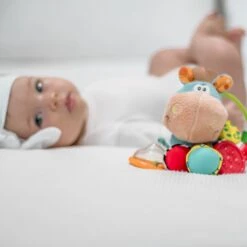 Playgro Clip Clop Rammelaar - Blauw - Activiteitenspeeltje - Kraamkado -Babyproducten Promotie Winkel 1200x1200 1993