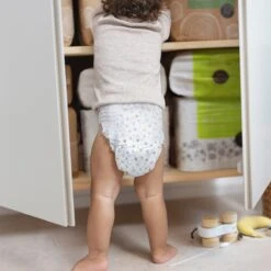 LILLYDOO Huidvriendelijke Luierbroekjes - Maat 7 (17+ Kg) - 85 Stuks - Maandbox 5 LILLYDOO Huidvriendelijke Luierbroekjes - Maat 7 (17+ Kg) - 85 Stuks - Maandbox -Babyproducten Promotie Winkel 1200x1200 217