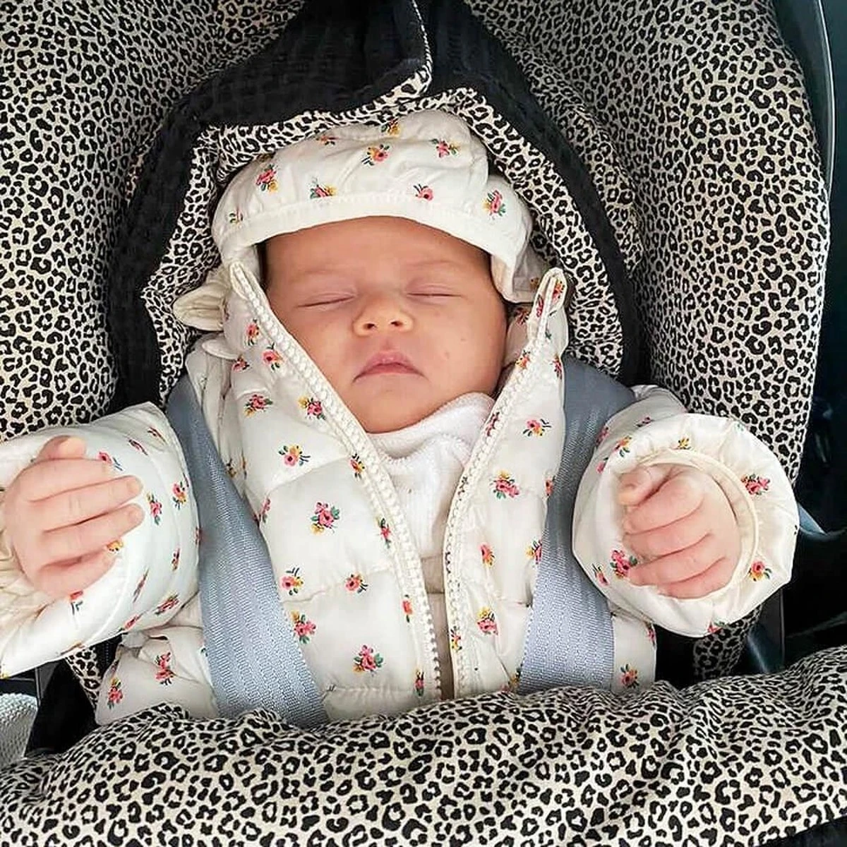 Ukje Voetenzak Baby Autostoel - Universeel - Geschikt voor Maxi Cosi Cybex Doona - Superzacht katoen - Zwart wafel - Luipaard Ukje Voetenzak Baby Autostoel - Universeel - Geschikt Voor Maxi Cosi Cybex Doona - Superzacht Katoen - Zwart Wafel - Luipaard -Babyproducten Promotie Winkel 1200x1200 2489