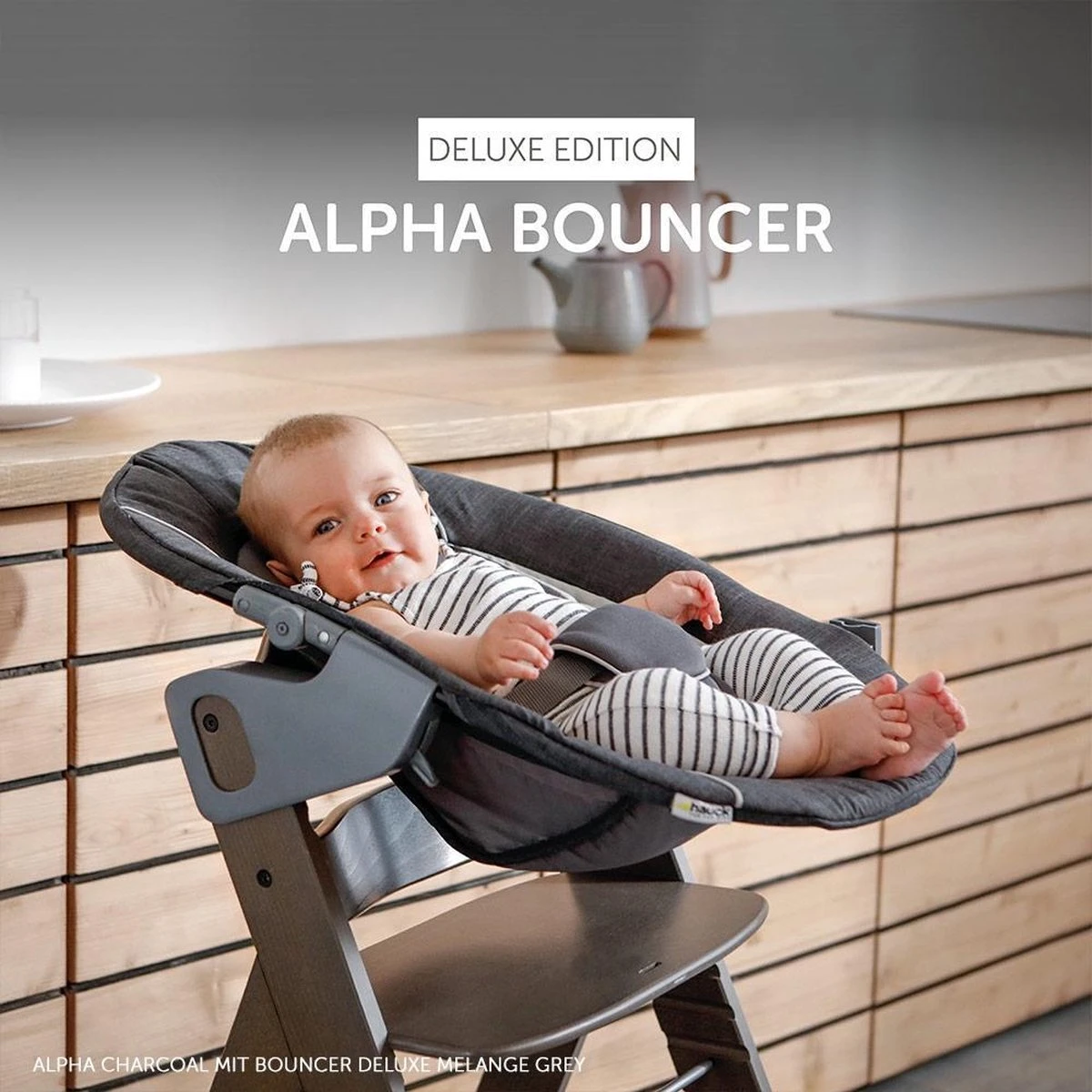 Hauck Alpha Plus Kinderstoel - Newborn Set Deluxe - Grijs Hauck Alpha Plus Kinderstoel - Newborn Set Deluxe - Grijs -Babyproducten Promotie Winkel 1200x1200 2944
