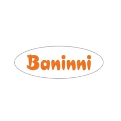 Baninni Loopstoel Classic 2-in-1 Grijs -Babyproducten Promotie Winkel 1200x1200 3185