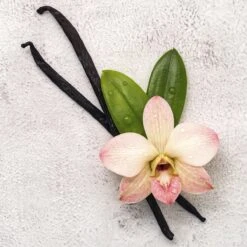 Disney Frozen Frozen Ll - Geurset - Parfum 50ml + Douche Gel 100ml - Cadeautip! 2 Disney Frozen Frozen Ll - Geurset - Parfum 50ml + Douche Gel 100ml - Cadeautip! -Babyproducten Promotie Winkel 1200x1200 655