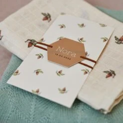 Jollein Hydrofiele Doek 115cm Rosehip 2pack 2 Jollein Hydrofiele Doek 115cm Rosehip 2pack -Babyproducten Promotie Winkel 1200x1200 70