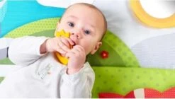 Tiny Love Supermat Speelmat - Meadow Days -Babyproducten Promotie Winkel 1200x678 5