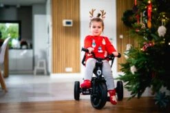 Lionelo Haari - Driewieler - Drankhouder - 2in1 - Tot 36+ -Babyproducten Promotie Winkel 1200x799 107