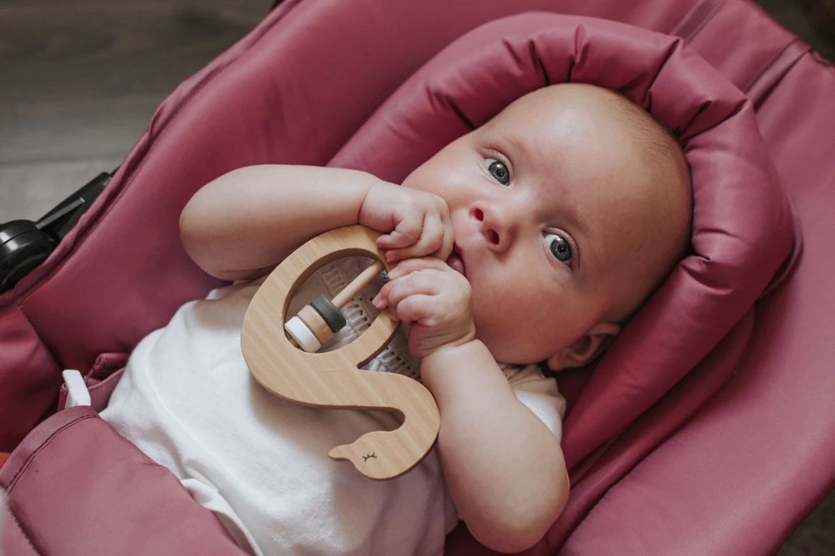 Tryco Koala Kyle Zwart Wipstoel TR-272701 Tryco Koala Kyle Zwart Wipstoel TR-272701 -Babyproducten Promotie Winkel 1200x799 117