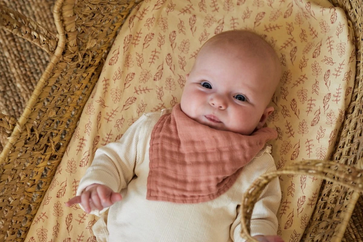 Jollein Baby Hoeslaken Ledikant Jersey 60x120cm - Meadow - Rosewood Jollein Baby Hoeslaken Ledikant Jersey 60x120cm - Meadow - Rosewood -Babyproducten Promotie Winkel 1200x800 123