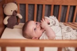 Jollein Baby Laken Ledikant 120x150cm Pimpelmees - Forest Animals 8 Jollein Baby Laken Ledikant 120x150cm Pimpelmees - Forest Animals -Babyproducten Promotie Winkel 1200x800 319