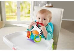 Fisher Price - Activity Zebra - Rammelaar - Speeltje En Bijtring - Grijpspeelgoed 15 Fisher Price - Activity Zebra - Rammelaar - Speeltje En Bijtring - Grijpspeelgoed -Babyproducten Promotie Winkel 1200x842