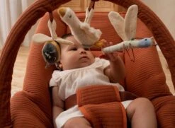 Little Dutch Wipstoel Rust -Babyproducten Promotie Winkel 1200x880 11