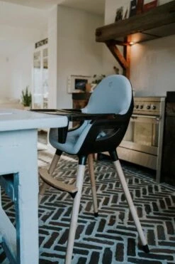 Titaniumbaby Kinderstoel Dayz Grey/Black -Babyproducten Promotie Winkel 798x1200 14