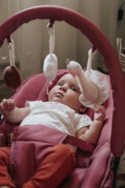 Tryco Swan Ivy Roze Wipstoel TR-272704 -Babyproducten Promotie Winkel 799x1200 147