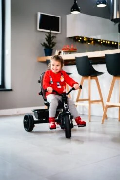 Lionelo Haari - Driewieler - Drankhouder - 2in1 - Tot 36+ -Babyproducten Promotie Winkel 800x1200 489