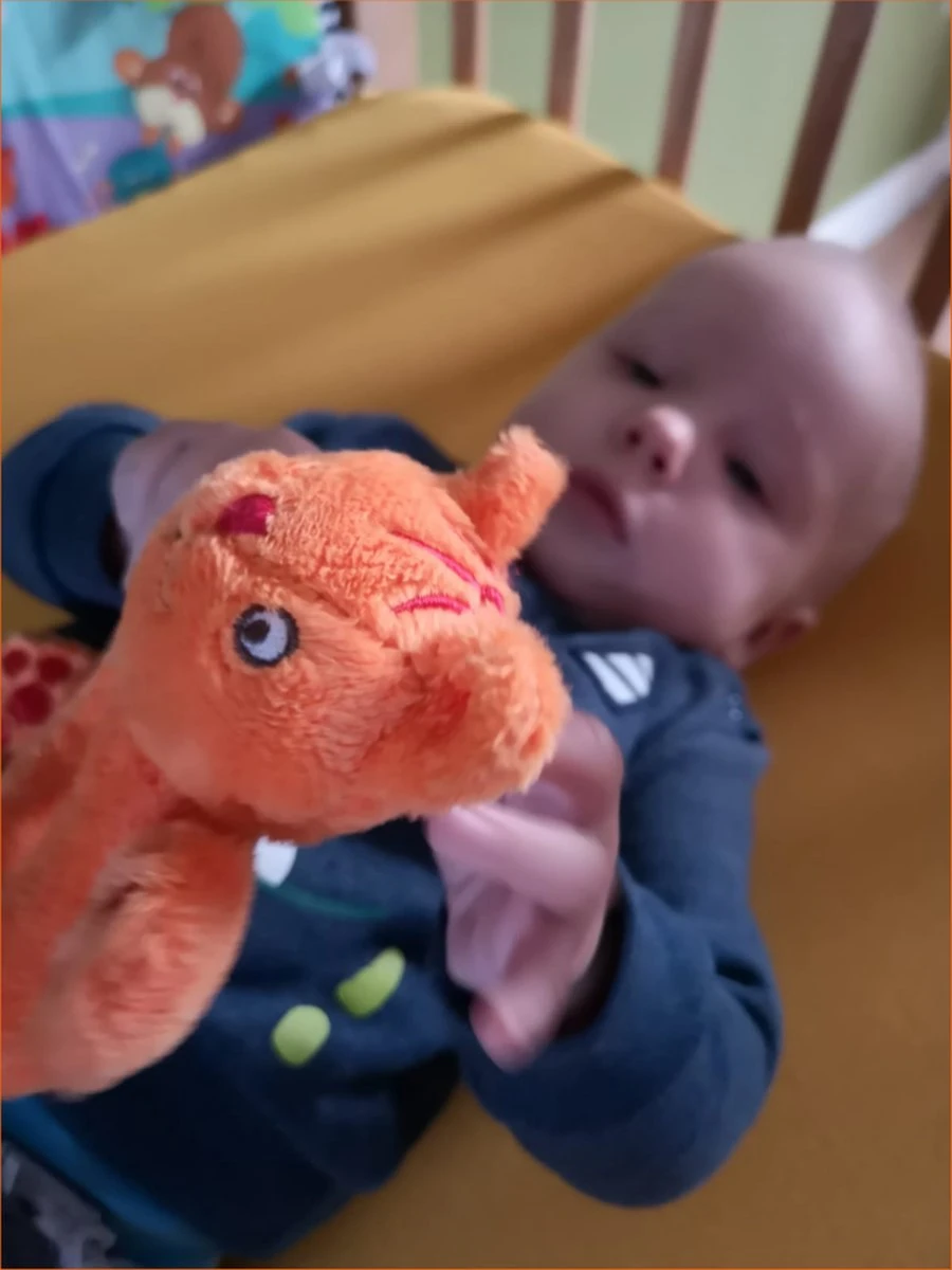 Happy Horse Dikkie Dik Knuffeldoekje - Oranje - Baby cadeau Happy Horse Dikkie Dik Knuffeldoekje - Oranje - Baby Cadeau -Babyproducten Promotie Winkel 900x1200 44