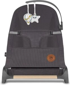 Lionelo June - Babyschommel - Tot 9 Kg - 3-punts Veiligheidsgordels - Lichtgewicht 3 Lionelo June - Babyschommel - Tot 9 Kg - 3-punts Veiligheidsgordels - Lichtgewicht -Babyproducten Promotie Winkel 989x1200 7